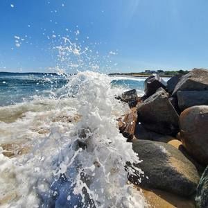 Meet your Posher, Logan